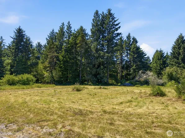 9905 Sandridge Road, Long Beach, WA 98631