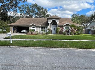 5708 Piney Lane Dr, Tampa, FL 33625