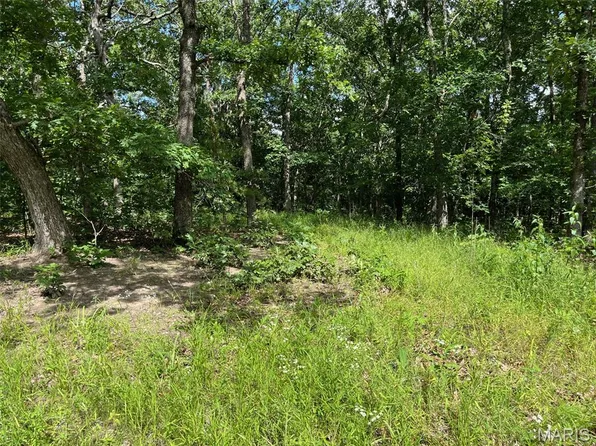 0 Delbridge Rd, Potosi, MO 63664