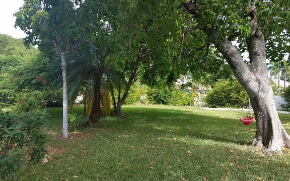 Beautiful lush property