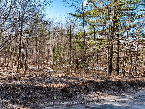 2nd image of 19 Birch Grove Dr