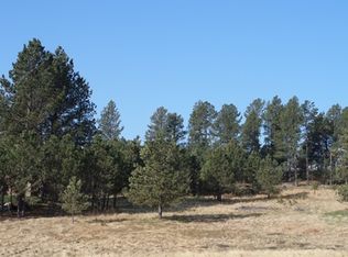121 Trails End Ct, Custer, SD 57730