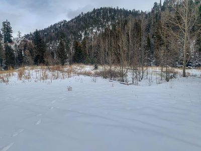 1133 State Highway 196, Amalia, NM, 87512