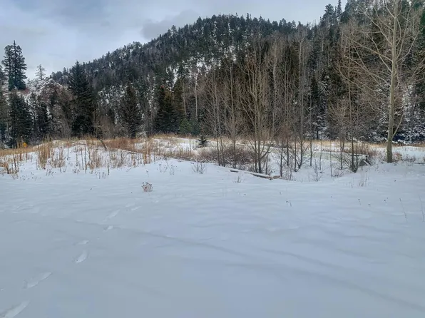 1133 State Highway 196, Amalia, NM 87512