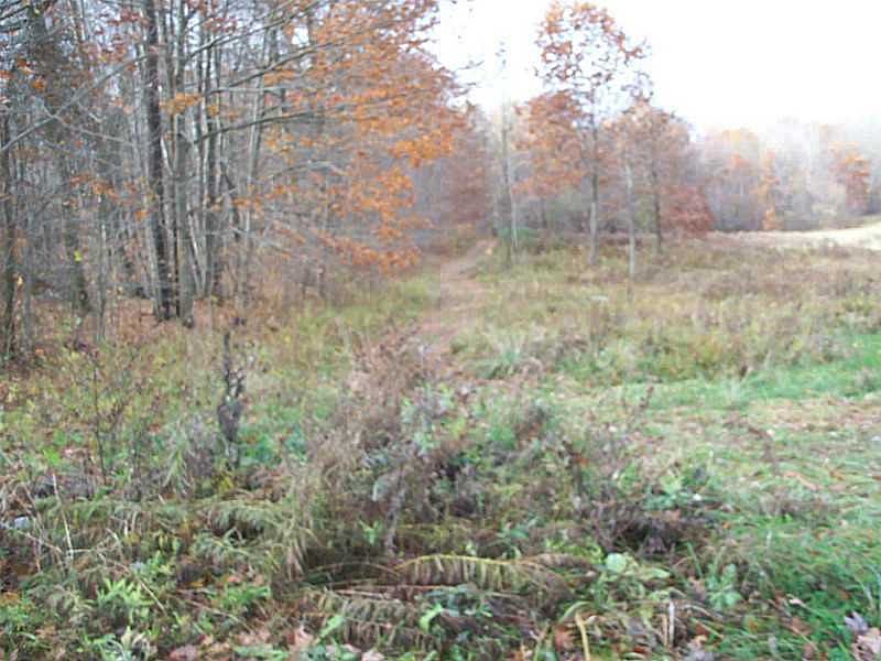 2nd image of S Spring Road
