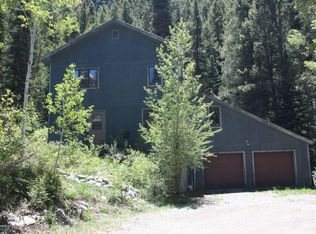 162 Raspberry Ln, Marble, CO 81623