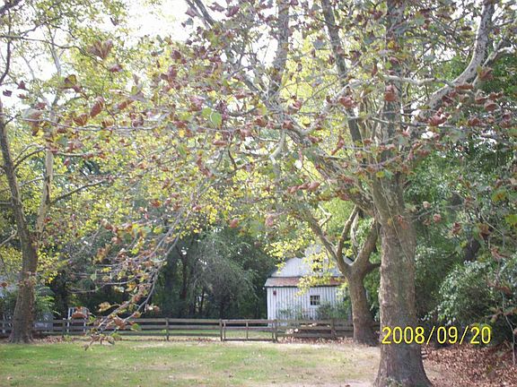 The Barn