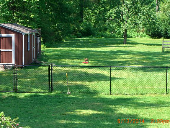 Back yard