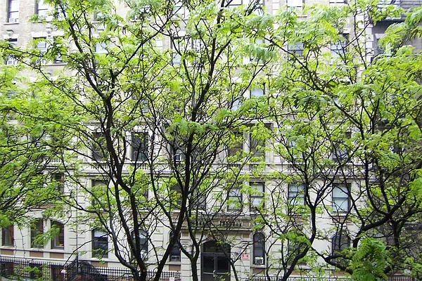 Rented by Susan Finkel, LREB | media 54