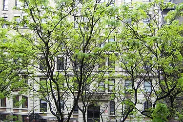 Rented by Susan Finkel, LREB