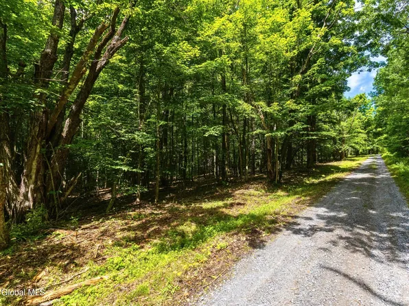 L4.112 Anderson Road, Broome, NY 12122