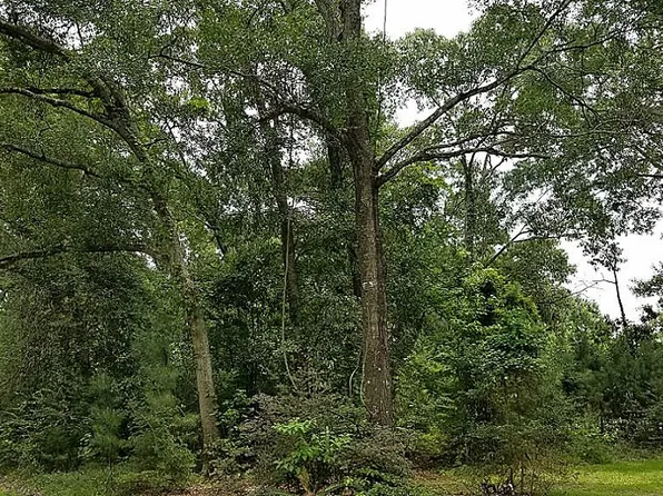 2346 Hickory Hollow Ln, Spring, TX 77386