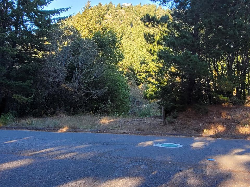 41 Cove Poin E, Whitethorn, CA 95589 MLS 263122 Zillow