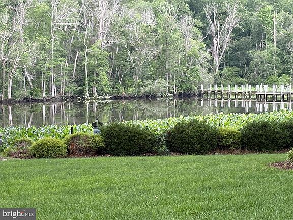 3rd image of 30823 Dogwood Dr