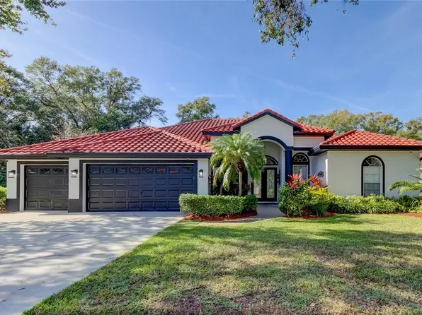 14906 EVERSHINE STREET, TAMPA, FL 33624