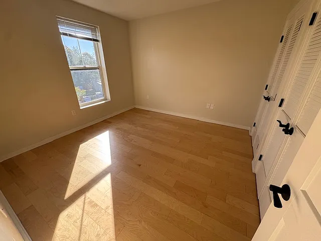 1 bed, 815 sqft, $2,300 — Photo 3
