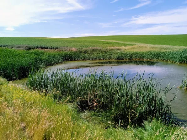 County Road 18s, Craig, CO 81625
