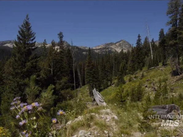 Tbd Big Creek Rd, Yellow Pine, ID 83677