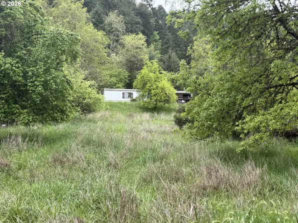 158 Homestake Ln, Riddle, OR 97469