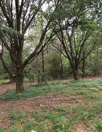 5th image of 15210 Mahan Dr