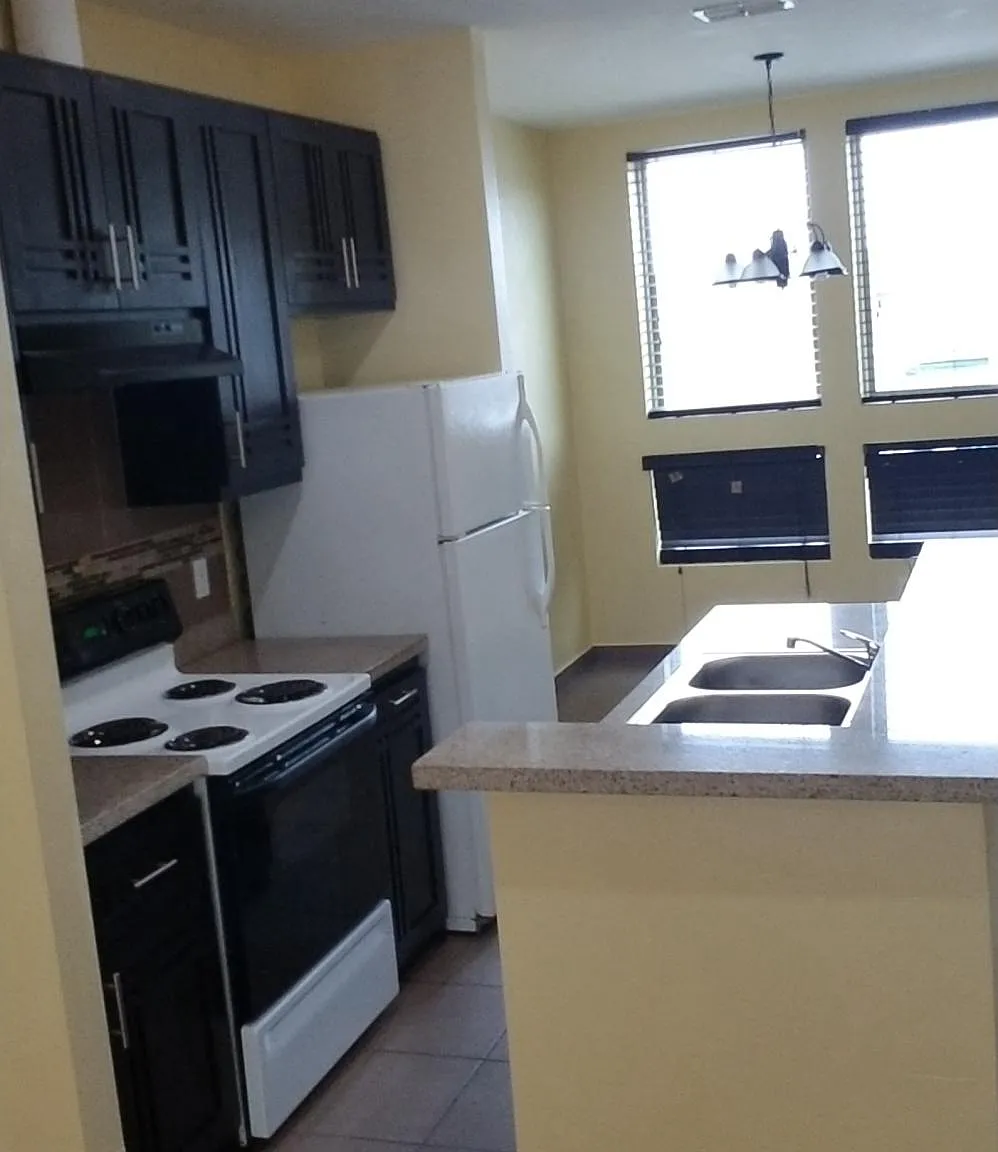 3705 Menchaca Ct — Photo 4