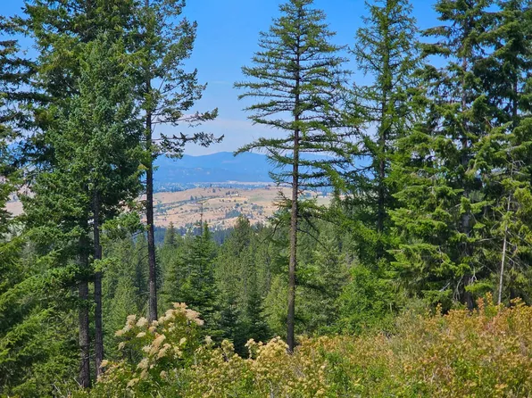 Nka E Belmont Rd, Mica, WA 99023