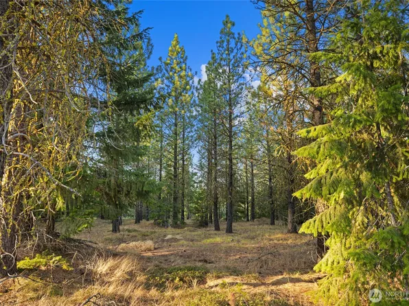 131 Gold Leaf Lane, Cle Elum, WA 98922