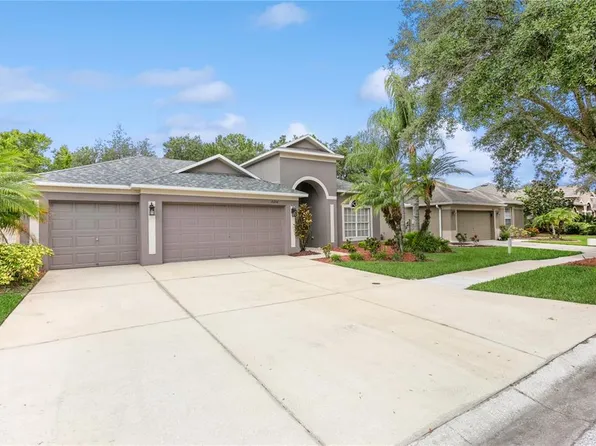 19208 MEADOW PINE DRIVE, TAMPA, FL 33647