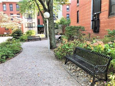 6 Juniper St APT 4, Brookline, MA, 02445