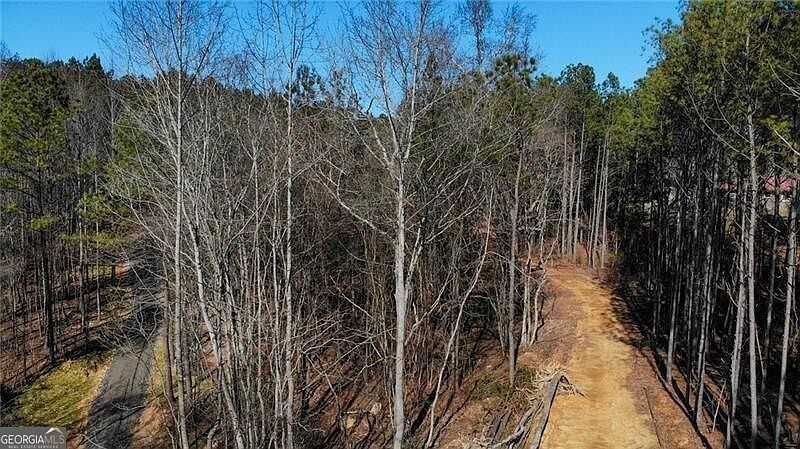 1st image of On Pete Path
