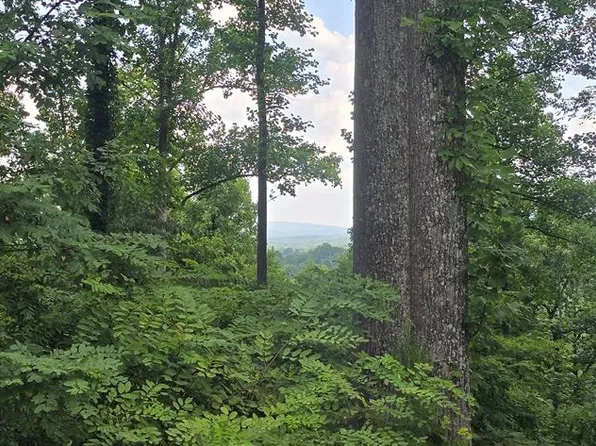 1 Winding Rdg, Blairsville, GA 30512