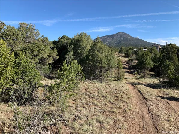 413 Rabbit Ears Road LOT 9, 10, South Fork, CO 81154