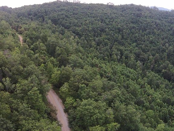 2nd image of 1 Straight Fork Rd