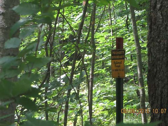 4th image of 14080 Pat Lake Ln