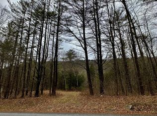 157 Lower, Middleburgh, NY 12122