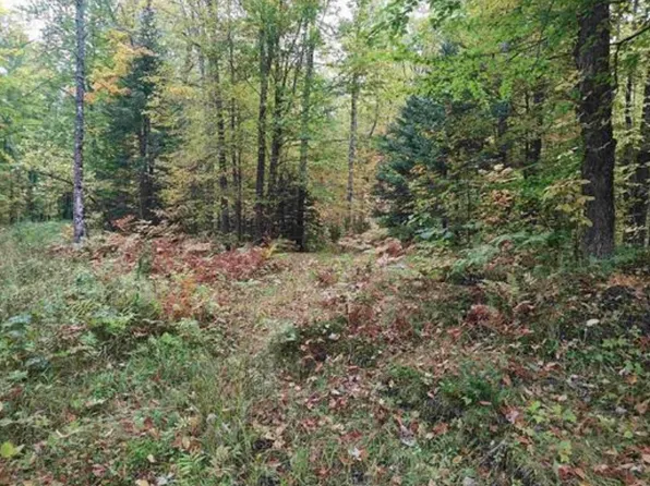 S Tbs Laird, Pelkie, MI 49958