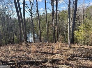 154 Lake Forest Dr #52, Ellijay, GA 30540