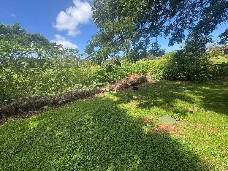 Kaamooloa Rd — Photo 8