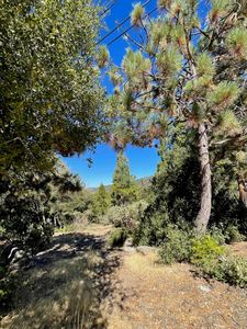 0 Double View Dr, Idyllwild, CA, 92549