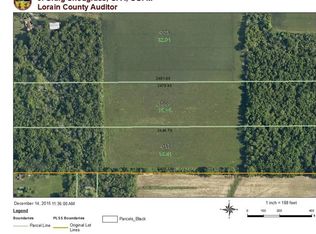 19830 Nickle Plate Diagonal Rd, Wellington, OH 44090