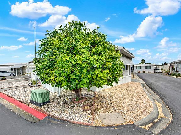 4th image of 14 Lemon Tree Circle