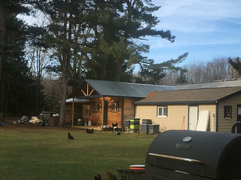 Looking out back door