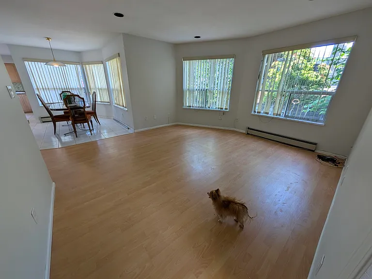 7 Thornhill Dr — Photo 17