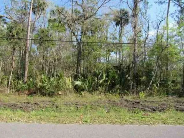 Blue Creek Rd Lot 6, Astor, FL 32102