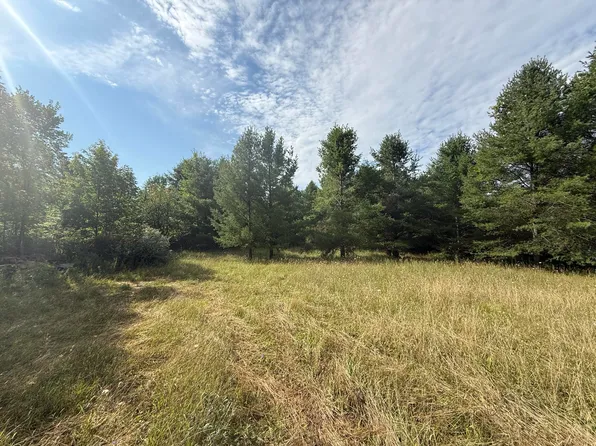 5544 Rose City Rd, Hale, MI 48739