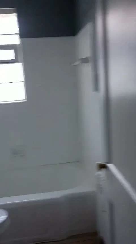 1 bed, $950 — Photo 2