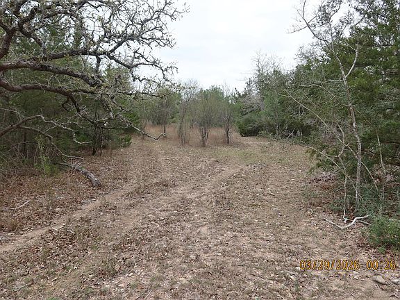 5th image of 1028 Gun Rose Ln