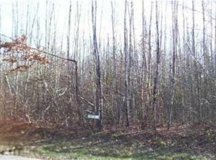 20705 Blue Fox Way #35, Howard City, MI 49329