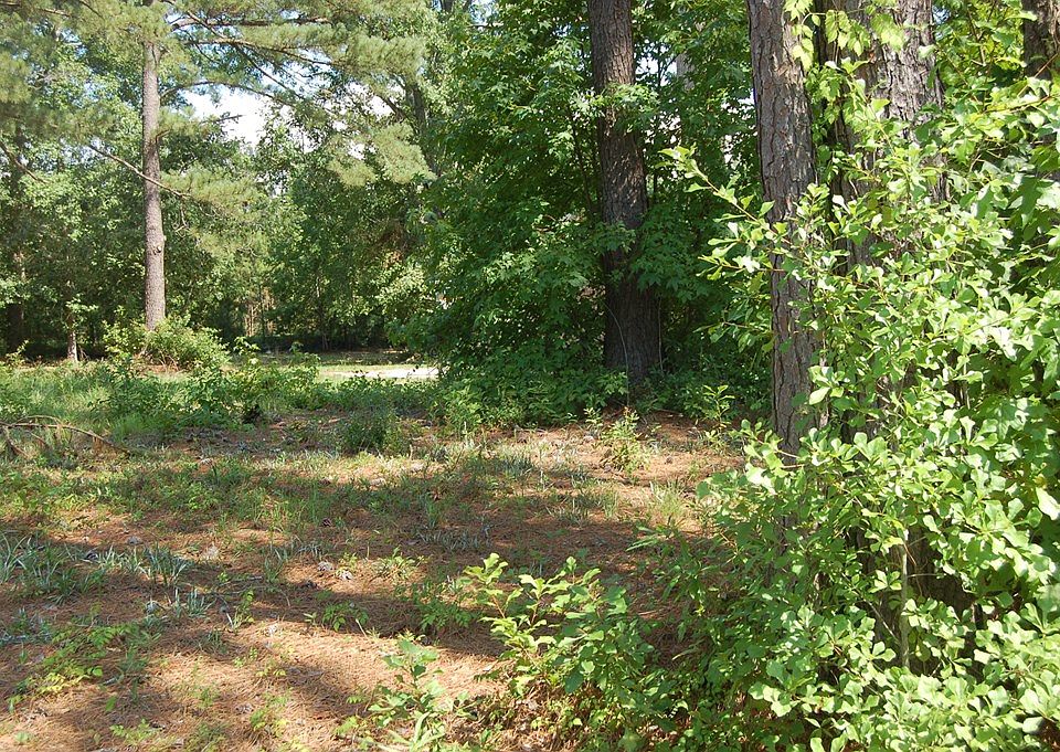 2nd image of Pinebrook St