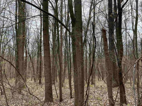 13 Hobbits Glen Rd, Masontown, WV 26542